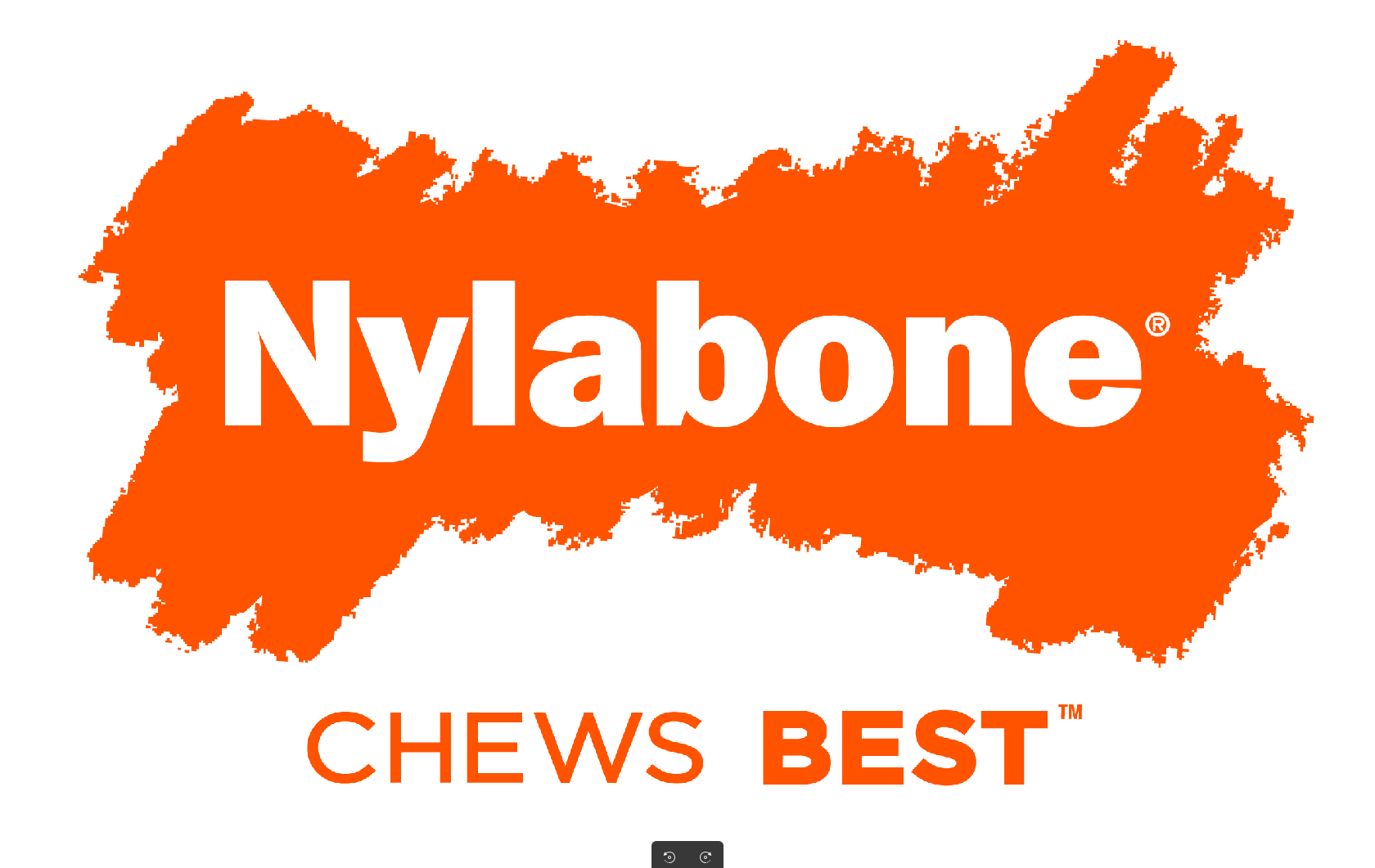 Nylabone
