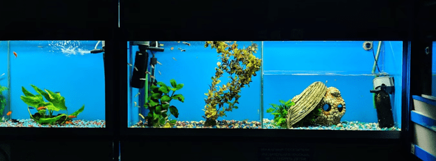 Water Treatments